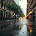 nap k�pe